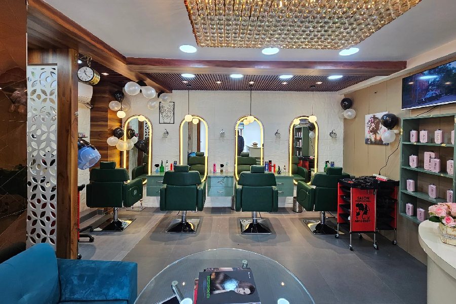 New salon picture
