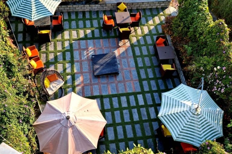 Tree-Restaurant-setting-area