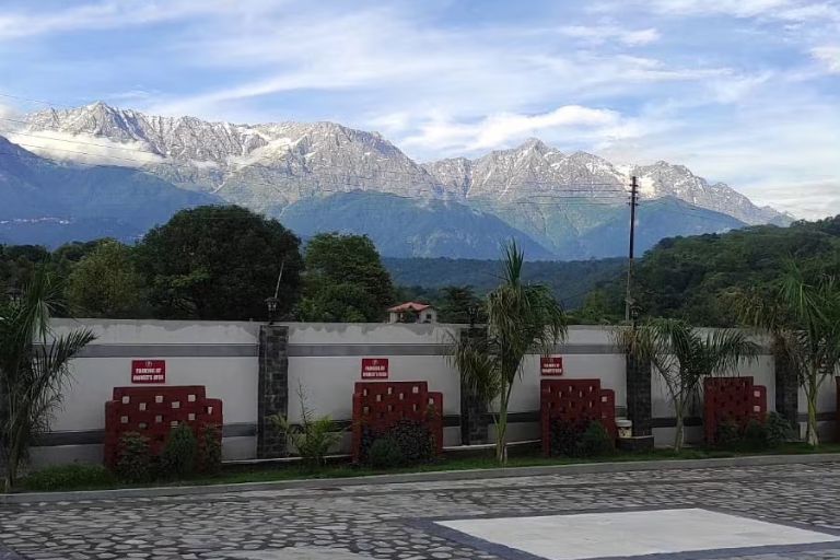 view
