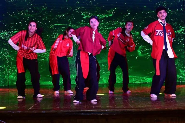 Dance Academy proformence