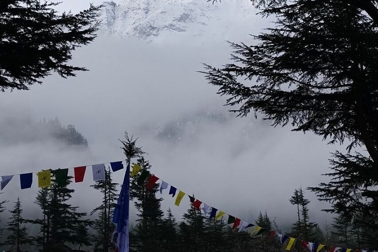Sattva Pine Resort scenic resort in Himachal Pradesh