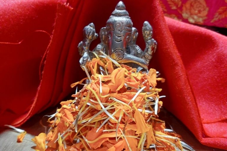 Suraj Astrologer