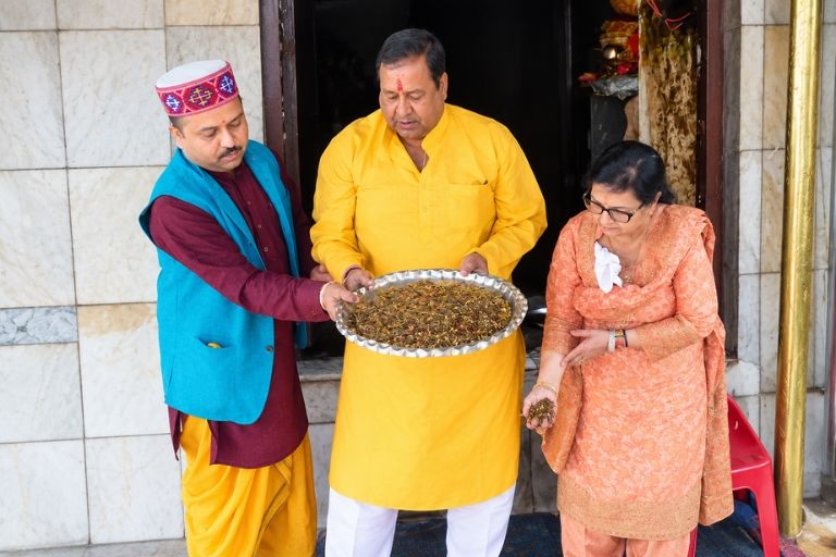 Acharya Shree Pandit Ashwani Ji for Wedding Rituals