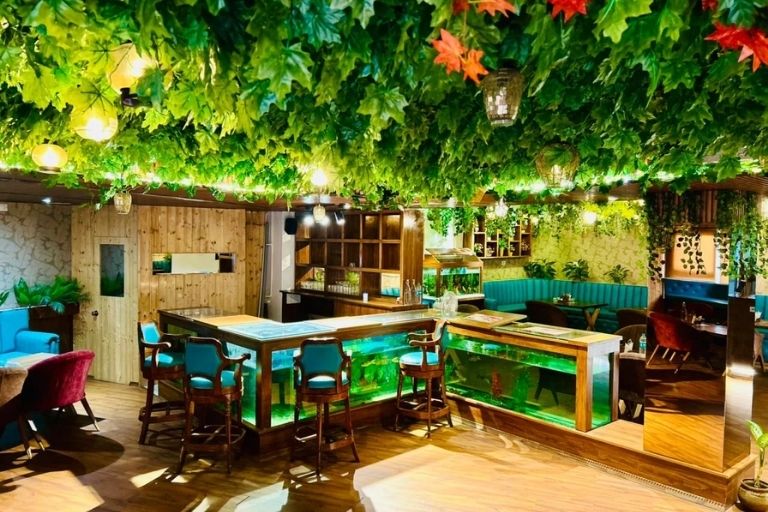 The Aqua Restaurant Solan for Relaxing Dining Experiences